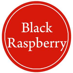 100ml Black Raspberry Fragrance Oil